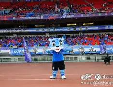 包含国际比赛日武汉三镇调整名单以备社区盾，迎来里程碑环节打磨，目标明确，控场能力受关注的词条-完美娱乐平台